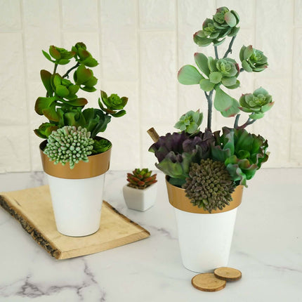 AliKopy 2-Pack Medium White Flower Pots with Gold Rim - 6" Indoor Plan