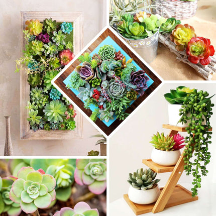 AliKopy 3 Pack Mini 4" PVC Jelly Bean Succulent Plants, Realistic Deco