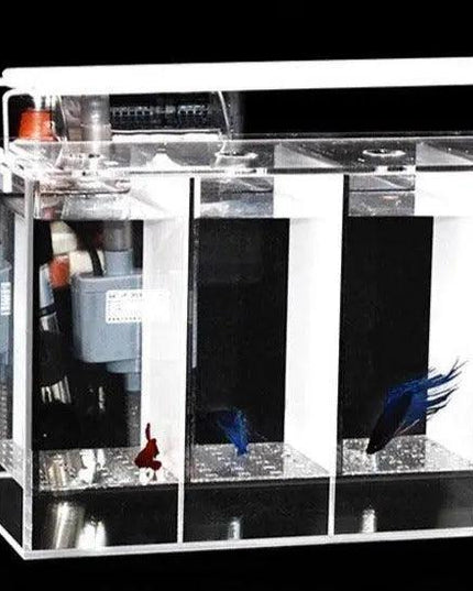 Aquatic Oasis: 10-Gallon Plastic Fish Tank with Integrated Heater and Water Exchange System