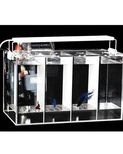 Aquatic Oasis: 10-Gallon Plastic Fish Tank with Integrated Heater and Water Exchange System