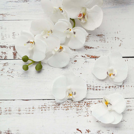 AliKopy 20 Silk White Orchid Flower Heads - 4" for DIY Decor & Corsage