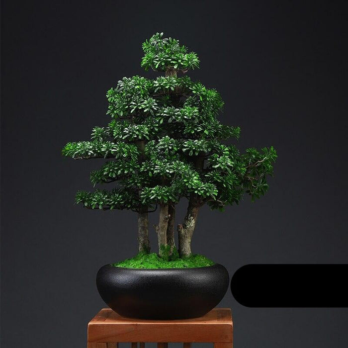 Zen-inspired Desktop Artificial Bonsai - Eternal Greenery Elegance
Title: Chinese Zen-Inspired Artificial Bonsai - Timeless Serenity