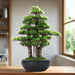 Authentic Chinese Zen-Inspired Artificial Bonsai - Timeless Serenity