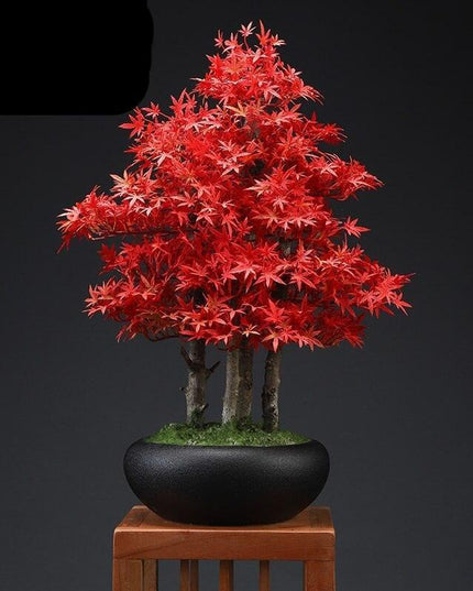 Zen Serenity Artificial Bonsai - An Exquisite Touch of Timeless Beauty