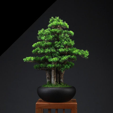 Zen Serenity Artificial Bonsai - An Exquisite Touch of Timeless Beauty