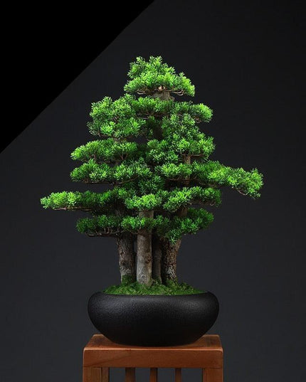 Zen Serenity Artificial Bonsai - An Exquisite Touch of Timeless Beauty
