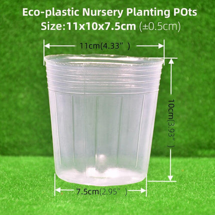 100-Count Clear Plant Growth Cups: Enhance Your Gardening Success - Très Elite