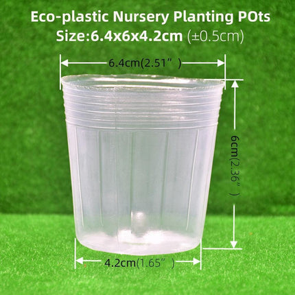 100-Count Clear Plant Growth Cups: Enhance Your Gardening Success - Très Elite