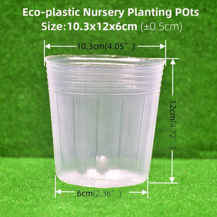 100-Count Clear Plant Growth Cups: Enhance Your Gardening Success - Très Elite