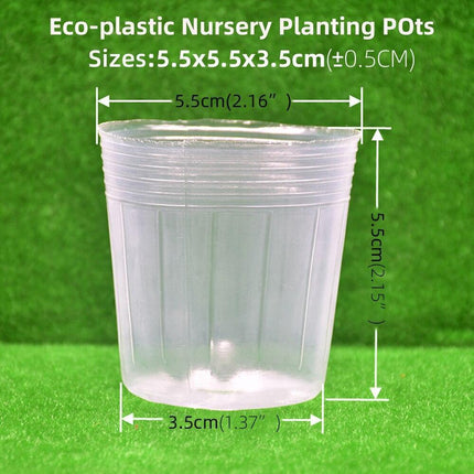 100-Count Clear Plant Growth Cups: Enhance Your Gardening Success - Très Elite