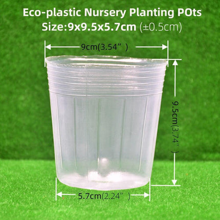 100-Count Clear Plant Growth Cups: Enhance Your Gardening Success - Très Elite