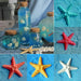 5Pcs Resin Starfish Ornament Beach Ocean Sea Star Home Wall Party Decoration