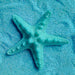 5Pcs Resin Starfish Ornament Beach Ocean Sea Star Home Wall Party Decoration