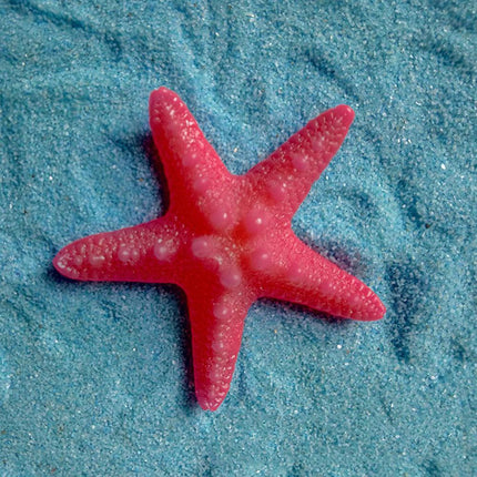 Ocean-Inspired Starfish Resin Decor Set - Whimsical Home and Garden Accents