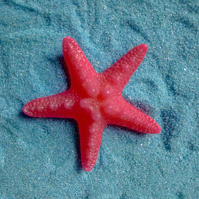 5Pcs Resin Starfish Ornament Beach Ocean Sea Star Home Wall Party Decoration