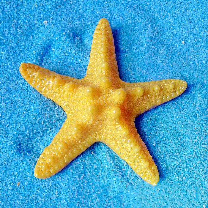 5Pcs Resin Starfish Ornament Beach Ocean Sea Star Home Wall Party Decoration