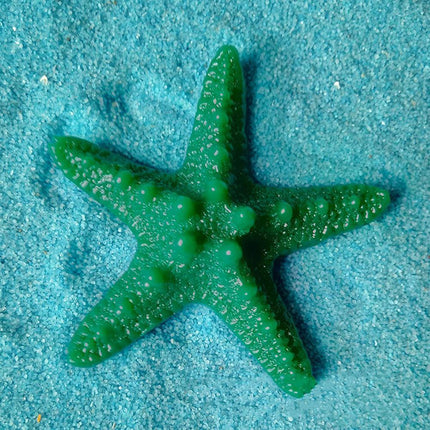 Ocean-Inspired Starfish Resin Decor Set - Whimsical Home and Garden Accents
