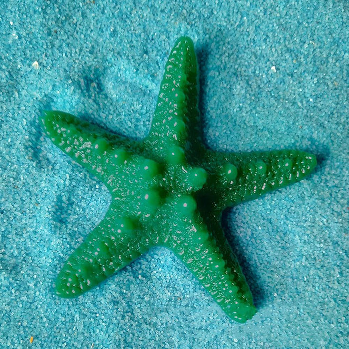 5Pcs Resin Starfish Ornament Beach Ocean Sea Star Home Wall Party Decoration