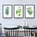Botanical Serenity: Green Leaf Canvas Art for Elegant Home Decor