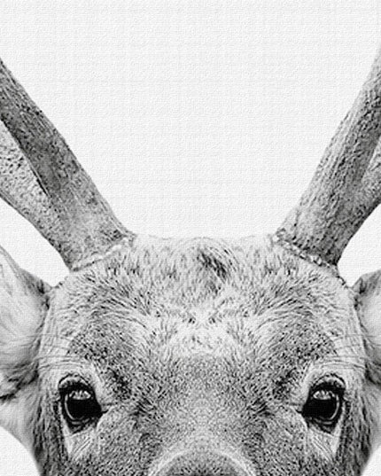 Charming Nordic Deer Canvas Art - Elevate Your Space with Whimsical Elegance