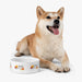Elegant Artisanal Ceramic Pet Bowl for Stylish Pet Owners