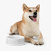 Elegant Artisanal Ceramic Pet Bowl - Exquisite Dining Experience for Stylish Pet Owners