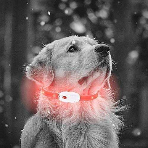Illuminate & Protect: Rechargeable Waterproof LED Dog Collar for Enhanced Nighttime Safety