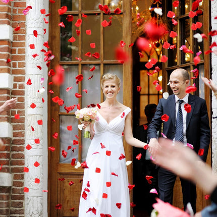 Romantic Elegance Silk Rose Petals Collection: 1000 Lush Red Petals for Memorable Celebrations