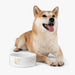 Elegant Ceramic Pet Bowl for Stylish Pet Owners