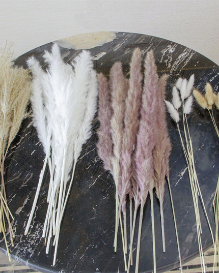 Boho Chic Dried Pampas Grass Bouquet - Versatile Decor for Every Occasion