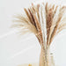 Boho Farmhouse Decor: Dried Pampas Grass Bouquet for Wedding & Home