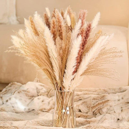 Chic Dried Pampa Grass Display - Ideal for Home Styling and Wedding Accents