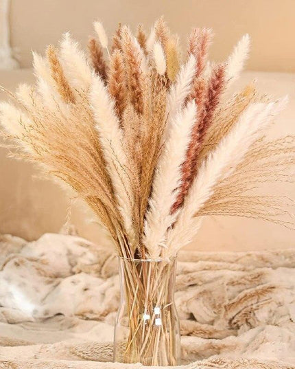 Chic Dried Pampa Grass Display - Ideal for Home Styling and Wedding Accents