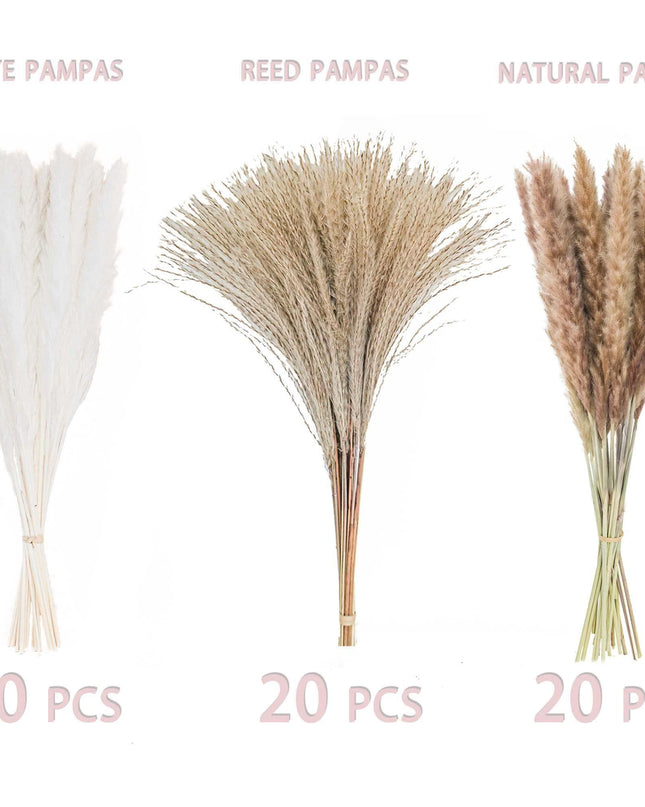 Boho-Inspired Pampas Grass Arrangement: Perfect for Weddings and Home Styling