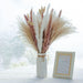 Boho Chic Pampas Grass Bouquet - Premium Decor for Weddings and Events