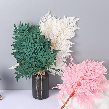 Alpine Serenity Fern Decor Kit: Bring the Essence of Nature Indoors - Très Elite