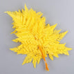 HuCHY / 10pcs no vase
