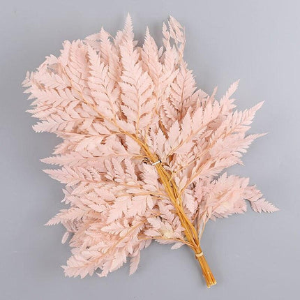 Alpine Serenity Fern Decor Kit: Bring the Essence of Nature Indoors - Très Elite