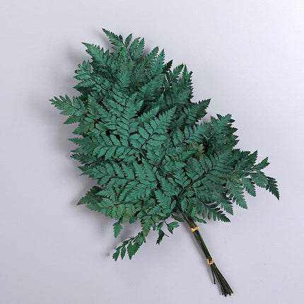 Alpine Serenity Fern Decor Kit: Bring the Essence of Nature Indoors - Très Elite