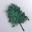LvCHY / 10pcs no vase