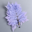 ZCHY / 10pcs no vase