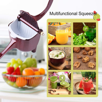 Aluminum Juice Master: Quick and Easy Fruit Extraction Made Simple - Très Elite