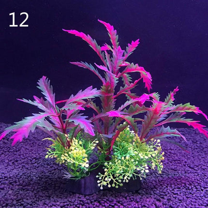 Aquatic Paradise: 12 Unique Plant Varieties for Vibrant Aquarium Landscapes