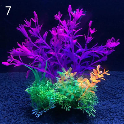 Aquatic Paradise: 12 Unique Plant Varieties for Vibrant Aquarium Landscapes