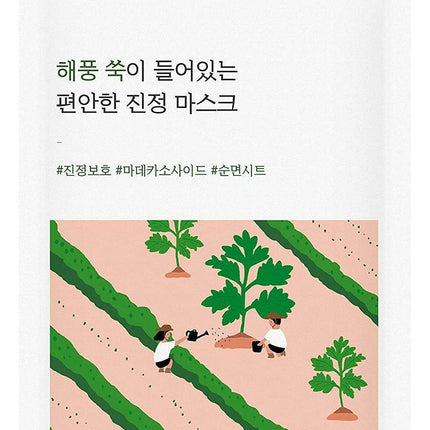 Artemisia Tranquil Glow Mask Set - Ultimate Skin Pampering Experience