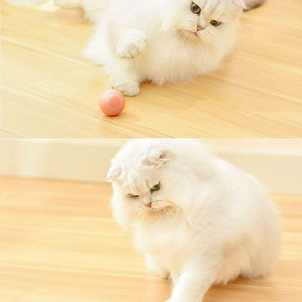 Automated Rolling Ball Cat Toy for Engaging Indoor Fun and Exercise - Très Elite