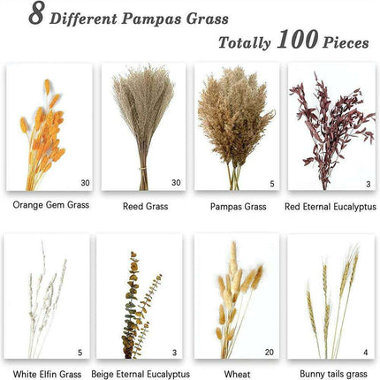 Autumn Harmony: Premium 100-Piece Dried Pampas Grass Collection for Elegant Home Decor - Très Elite