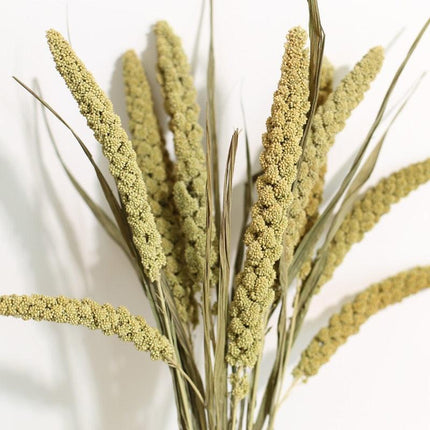 Bohemian Charm Dried Floral Arrangement Set - Elegant Decor for Home and Events - Très Elite