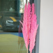 pink / 1 PCS