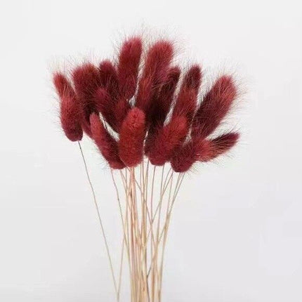 Boho Chic Dried Bunny Tail Floral Arrangement - Elegant Rustic Home Accent - Très Elite
